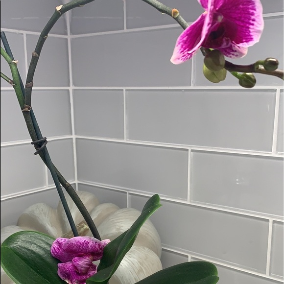 Closet Clean Out - Picture 1 of 1